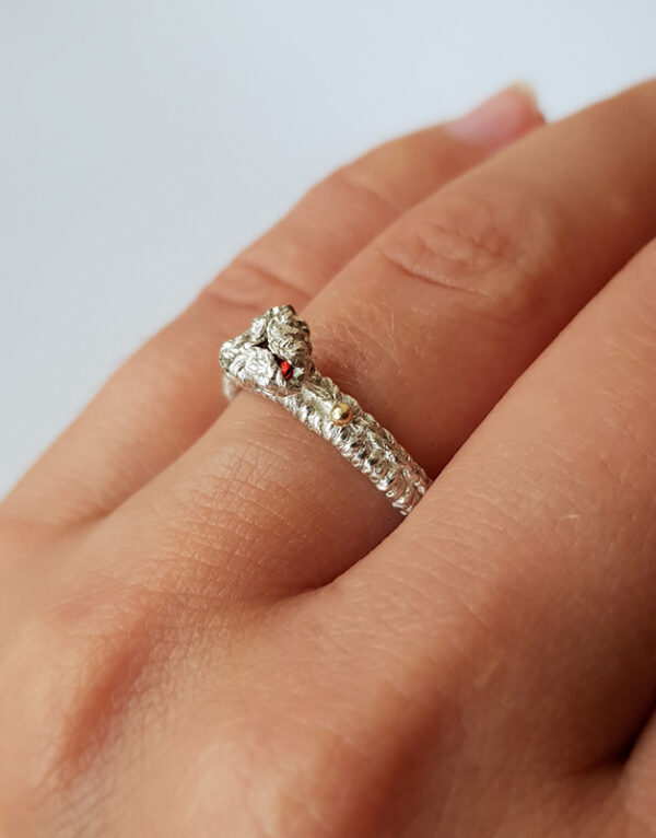 1 nestandartiniai ziedai vilniuje