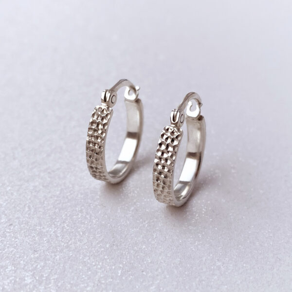 apvalus sidabriniai auskarai