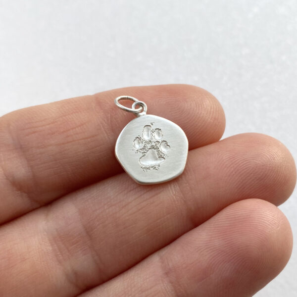 Pakabukas su gyvuno letena Pakabukas su gyvuno letena